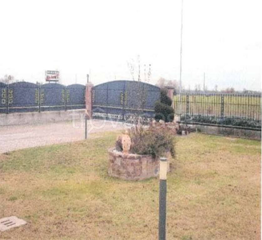 immagine annuncio 3 di 14