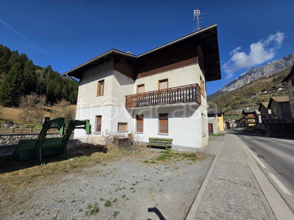 immagine annuncio 2 di 11