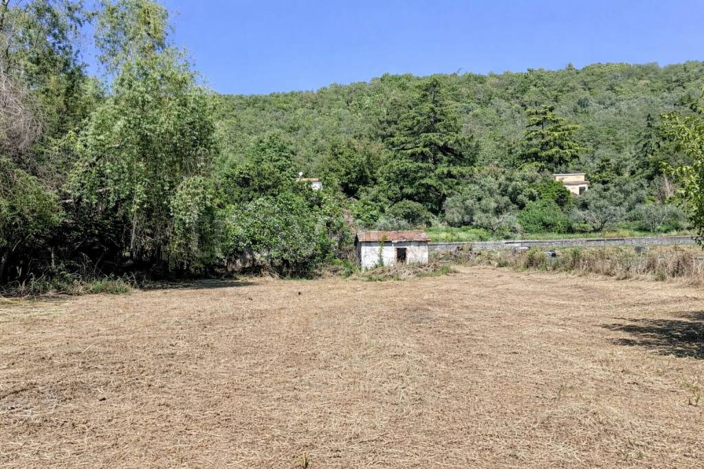 immagine annuncio 10 di 14