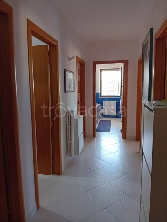 immagine annuncio 2 di 9