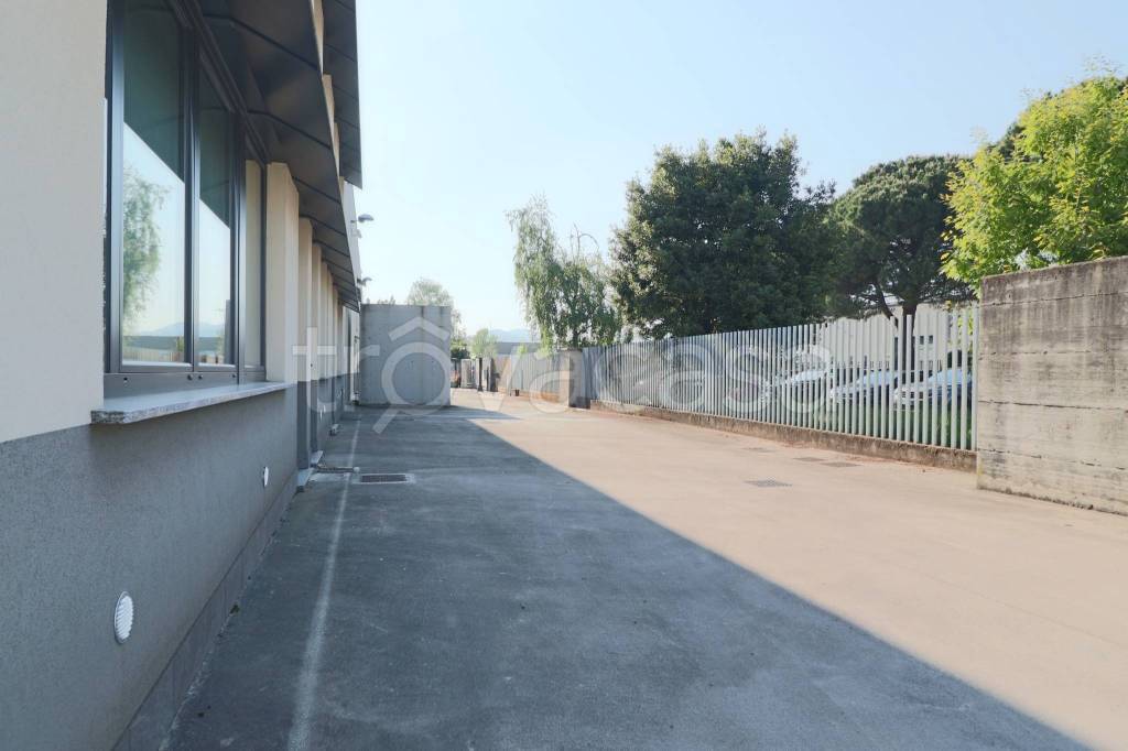 immagine annuncio 6 di 8
