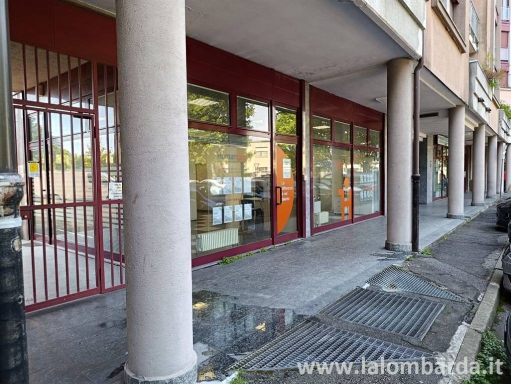 immagine annuncio 2 di 14