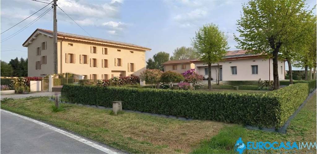immagine annuncio 2 di 14