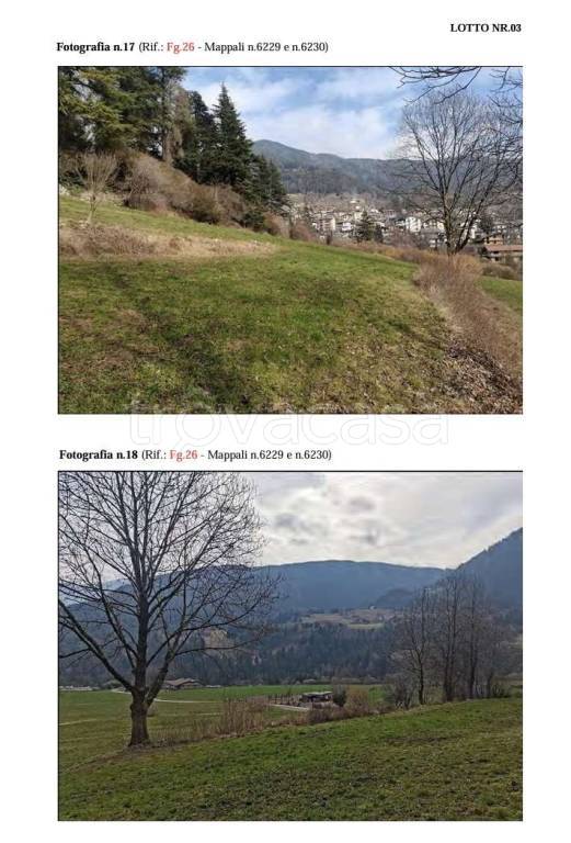immagine annuncio 13 di 14