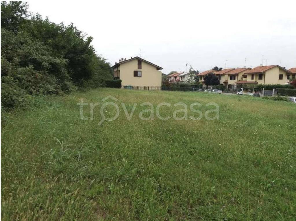 immagine annuncio 5 di 8