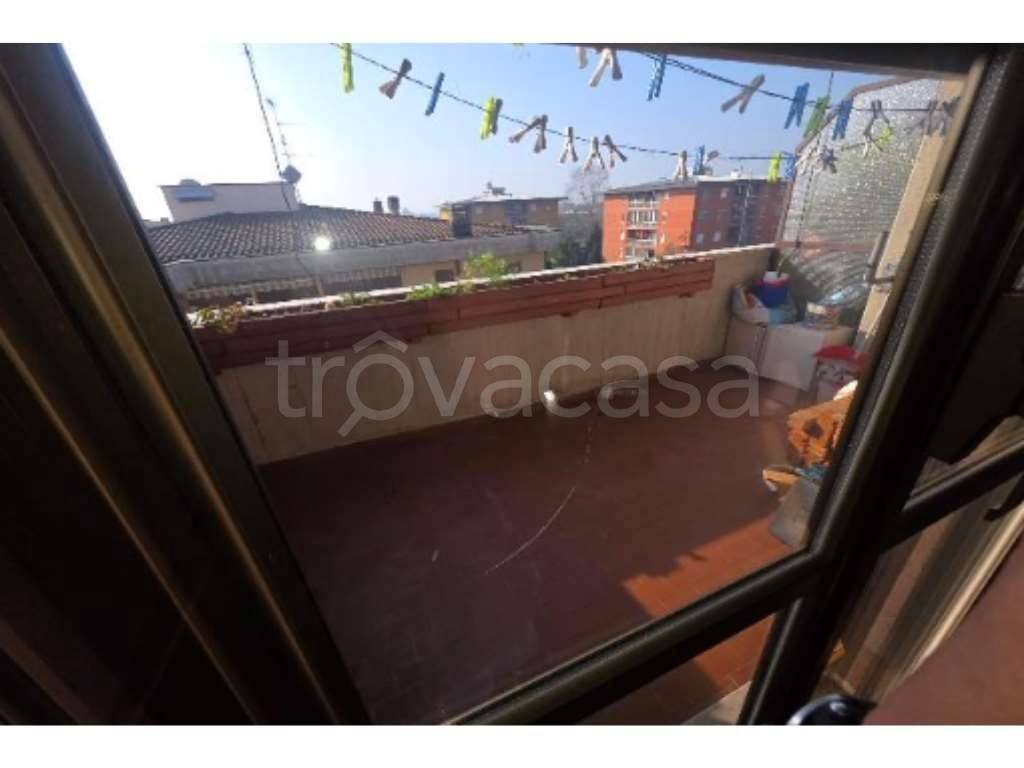 immagine annuncio 9 di 14