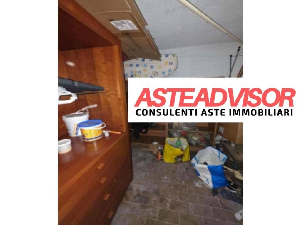immagine annuncio 11 di 14