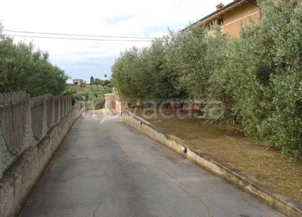 immagine annuncio 5 di 11