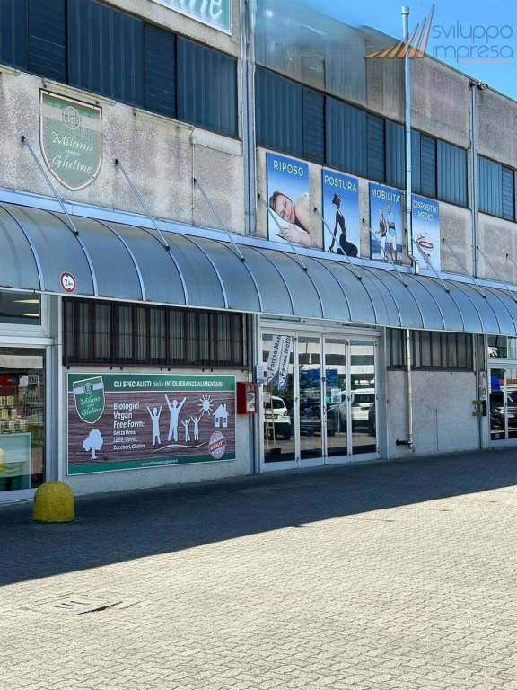 immagine annuncio 3 di 11