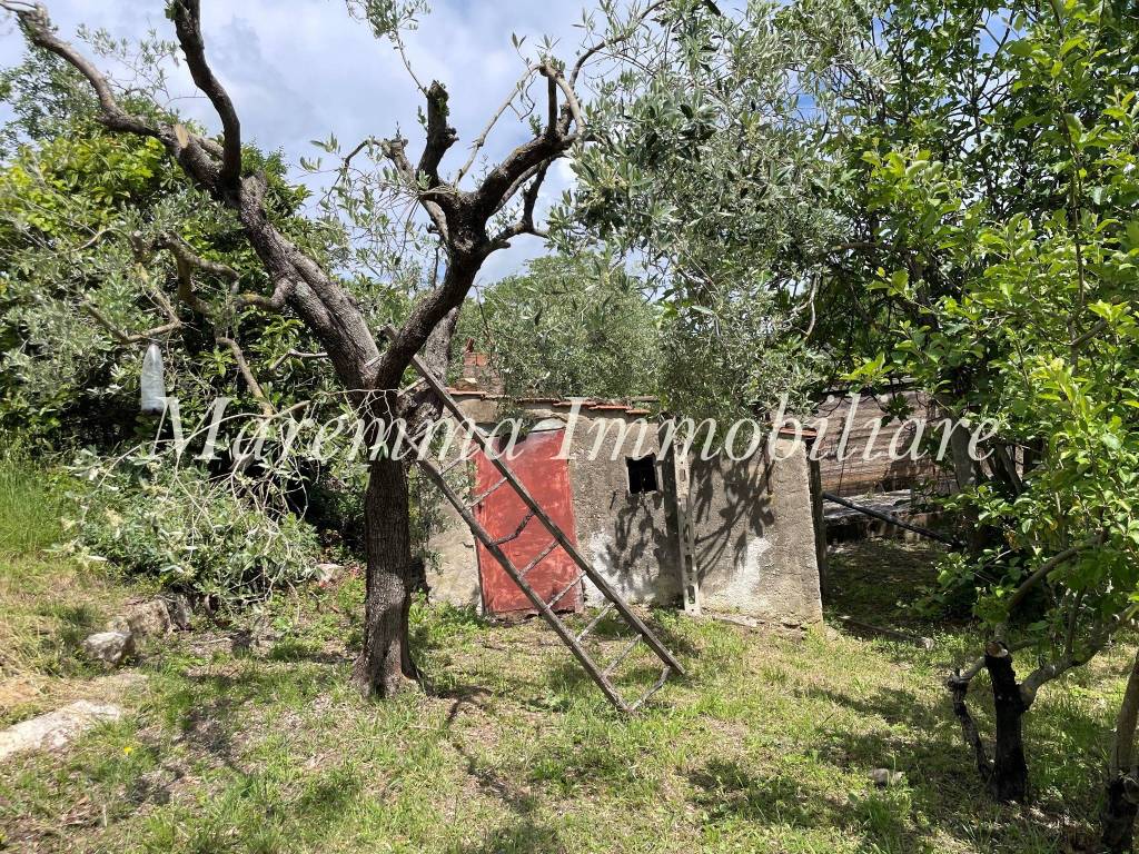 immagine annuncio 2 di 11