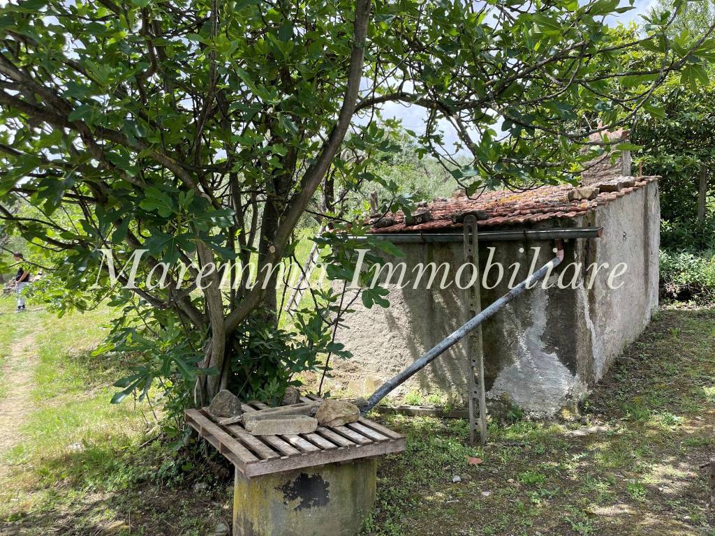 immagine annuncio 8 di 11