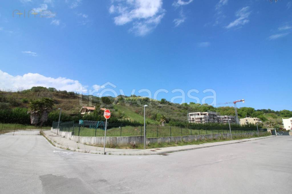 immagine annuncio 5 di 8