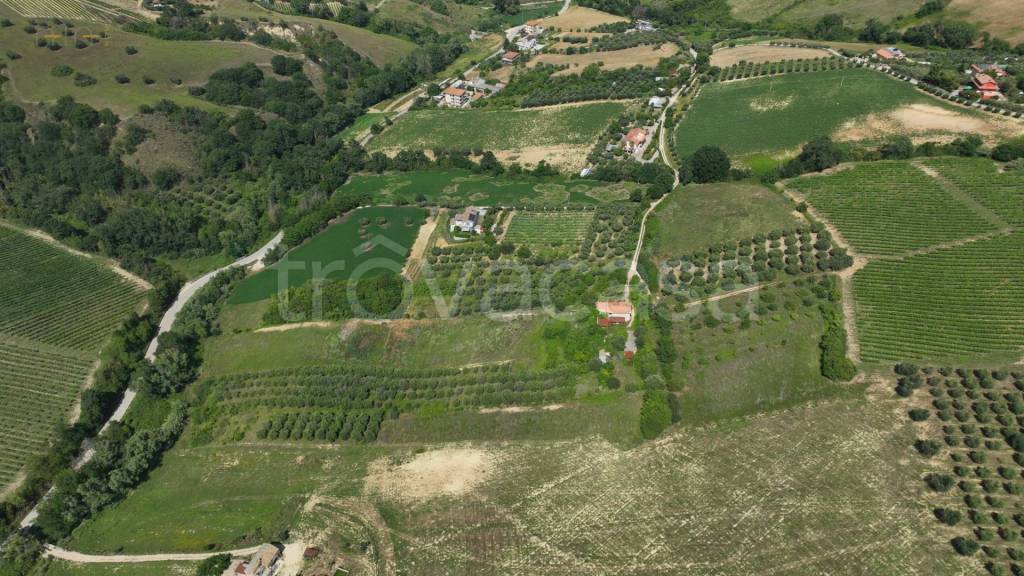 immagine annuncio 11 di 14