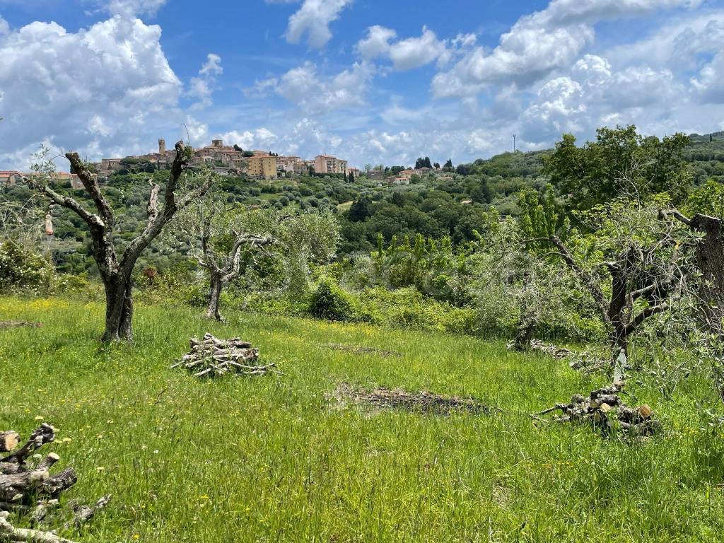 immagine annuncio 4 di 6