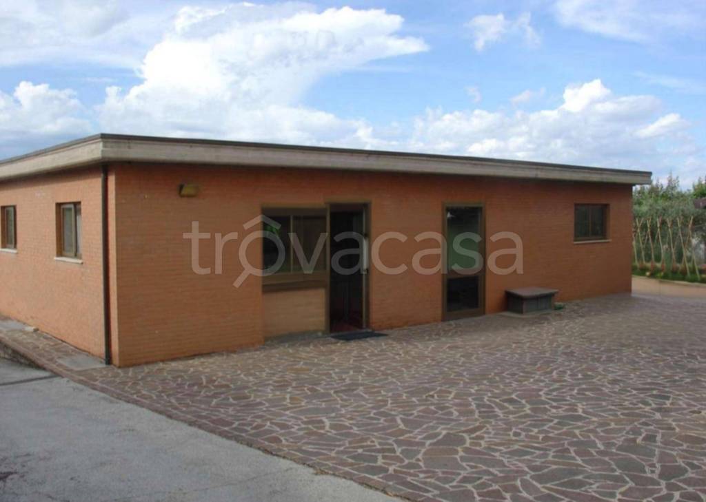 immagine annuncio 8 di 11