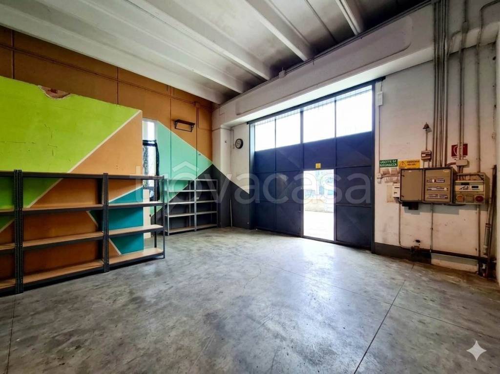 immagine annuncio 5 di 15