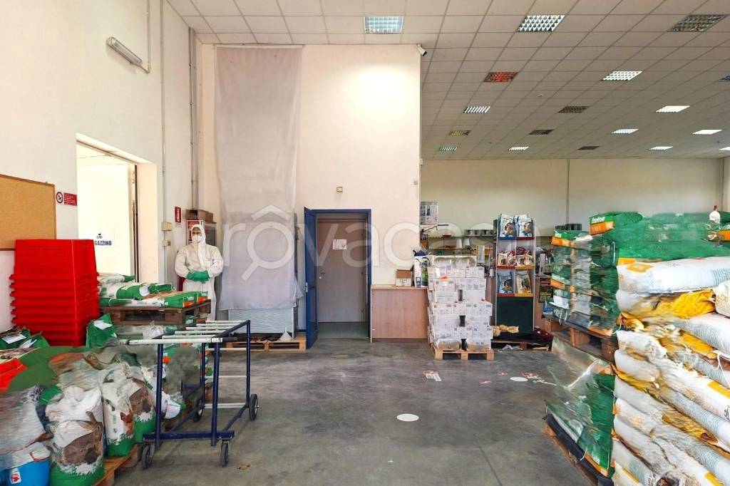 immagine annuncio 1 di 13
