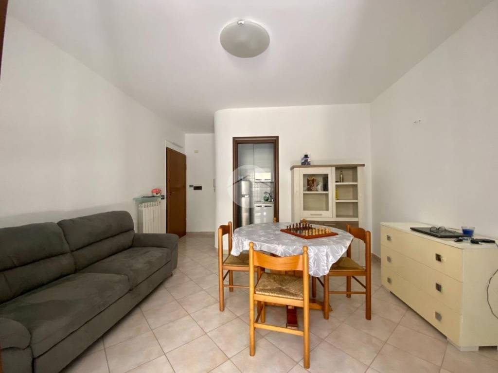 immagine annuncio 2 di 12