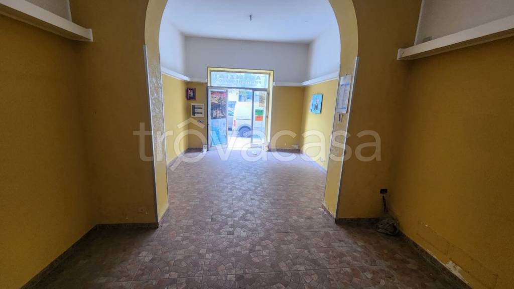 immagine annuncio 7 di 14