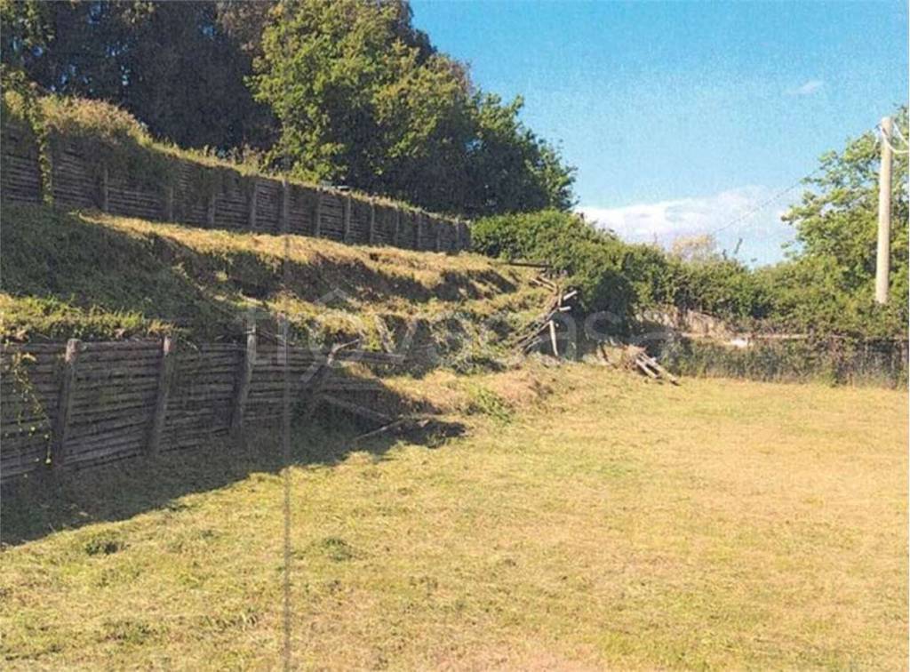 immagine annuncio 11 di 13