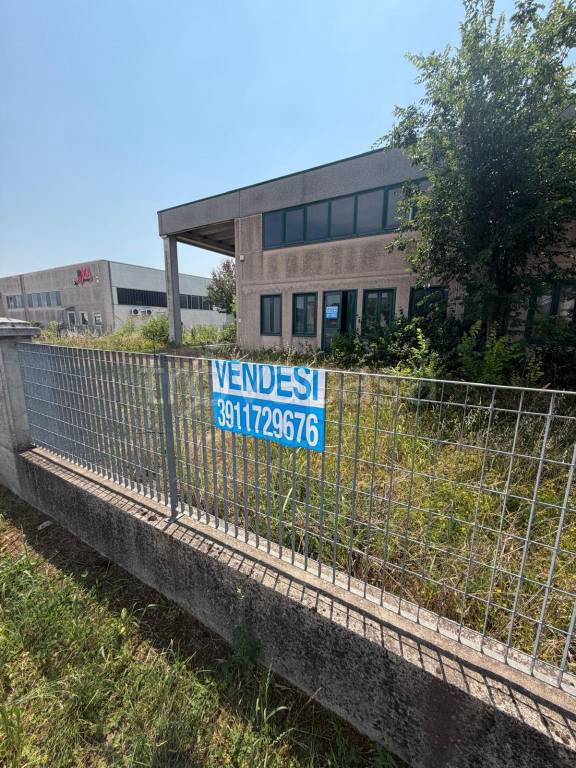 immagine annuncio 2 di 15