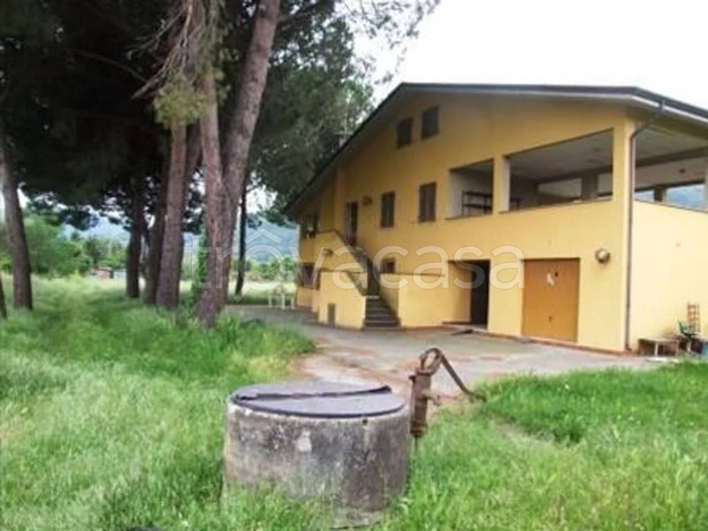immagine annuncio 5 di 8