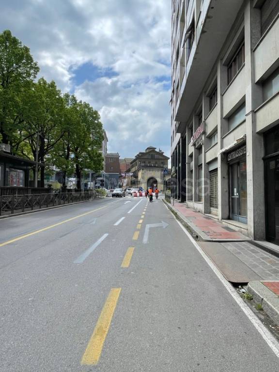 immagine annuncio 12 di 14