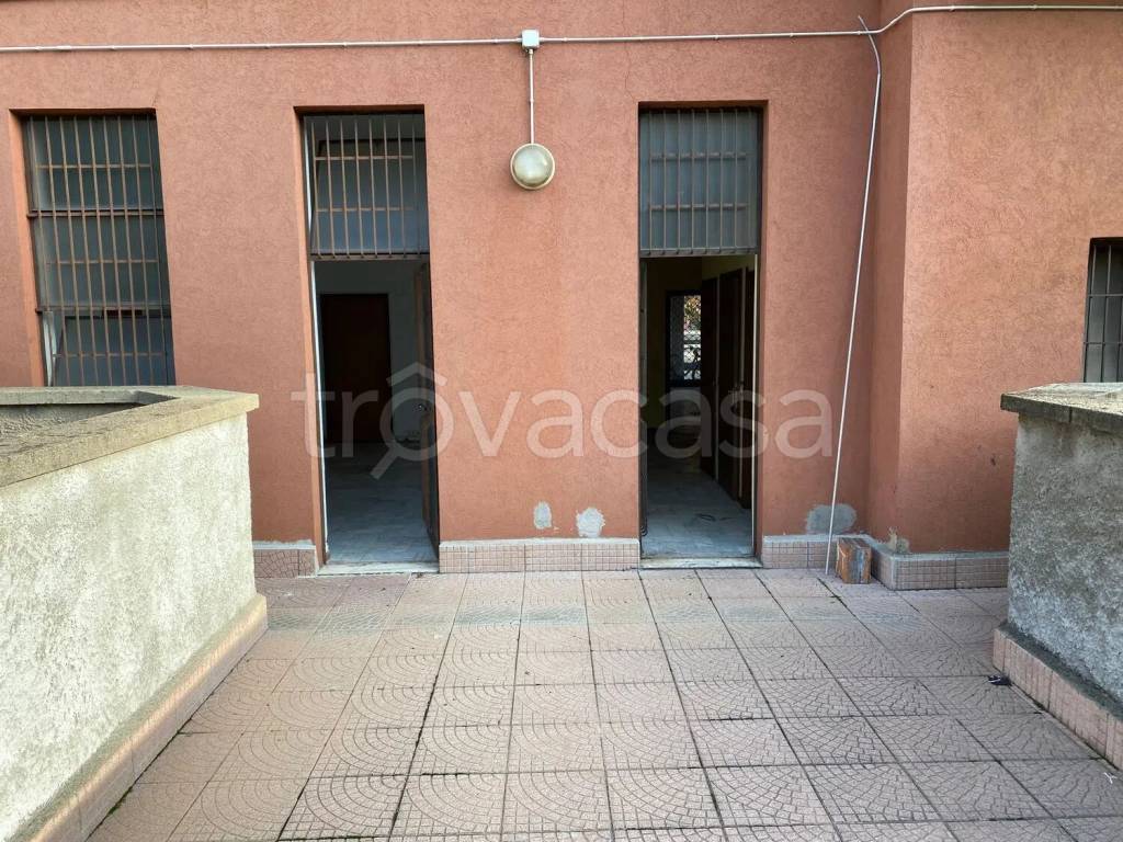 immagine annuncio 11 di 13