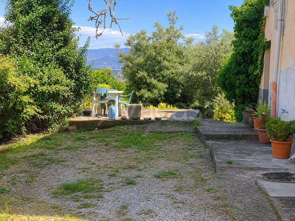 immagine annuncio 2 di 7