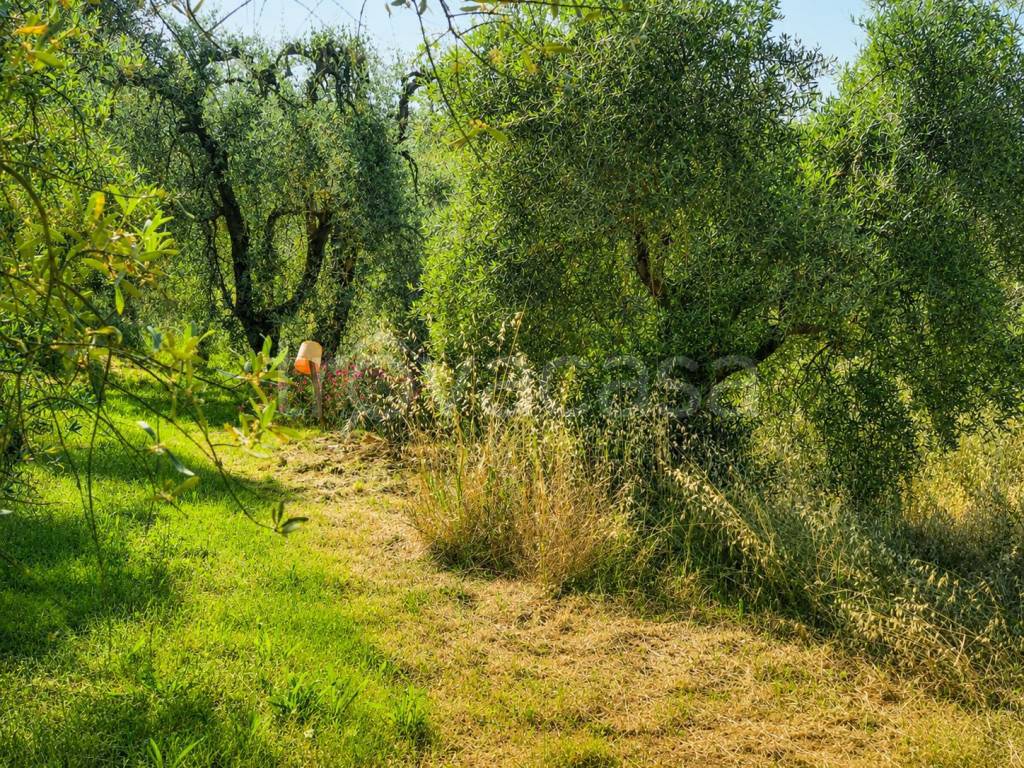 immagine annuncio 6 di 7