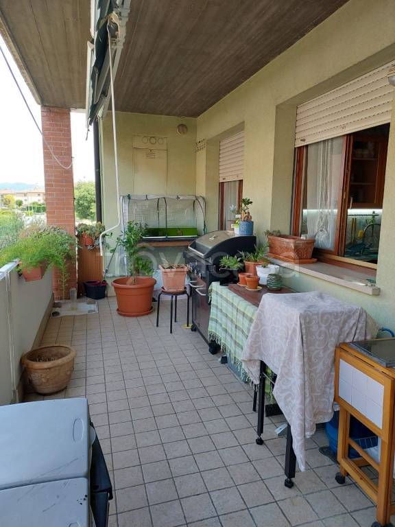 immagine annuncio 8 di 14