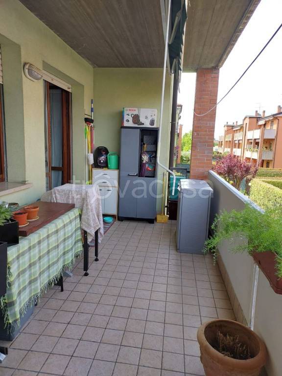 immagine annuncio 9 di 14