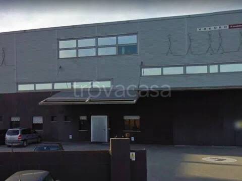immagine annuncio 2 di 12