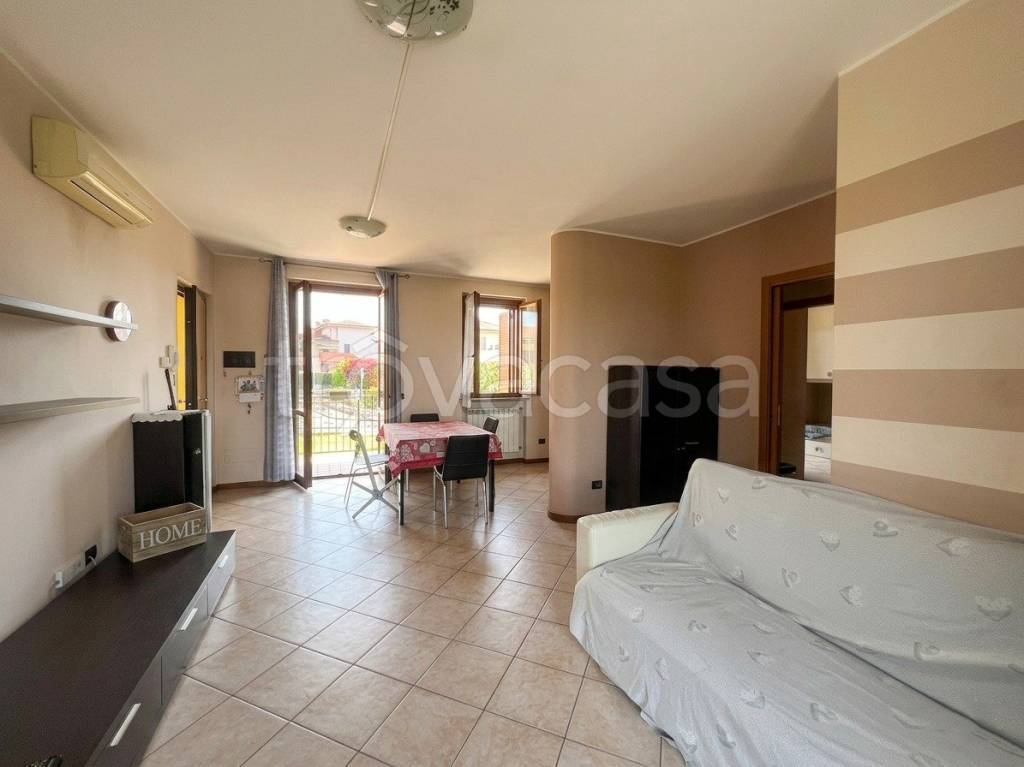 immagine annuncio 1 di 15