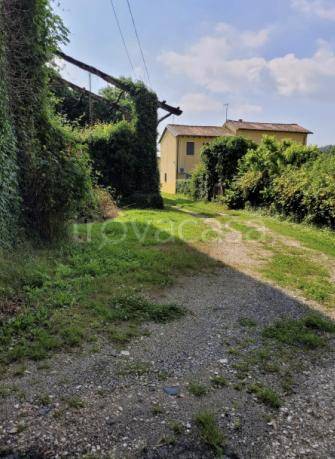 immagine annuncio 3 di 8