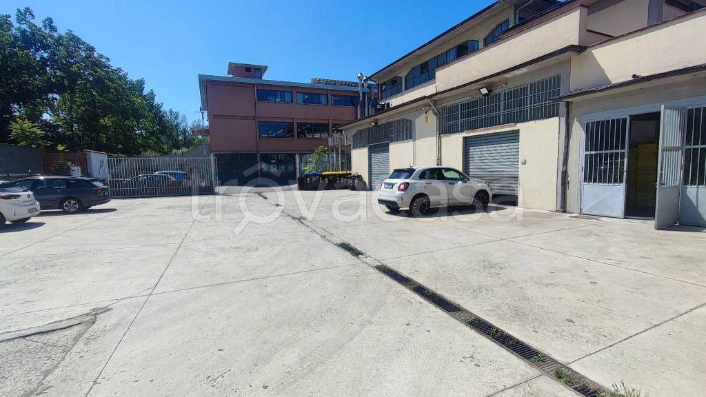 immagine annuncio 10 di 14