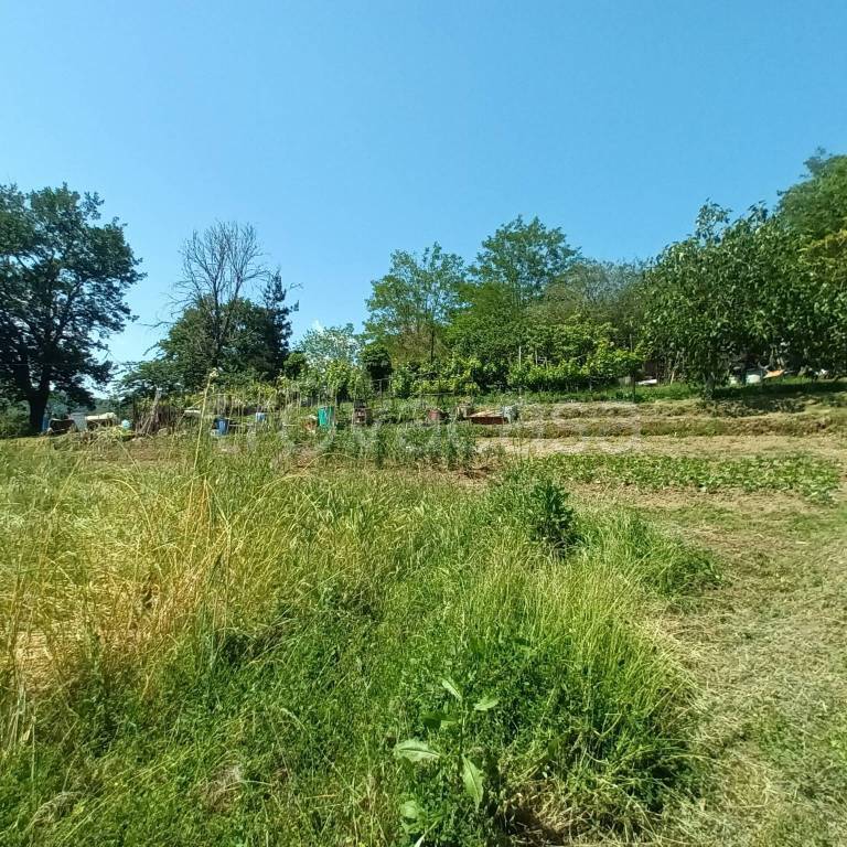 immagine annuncio 3 di 11