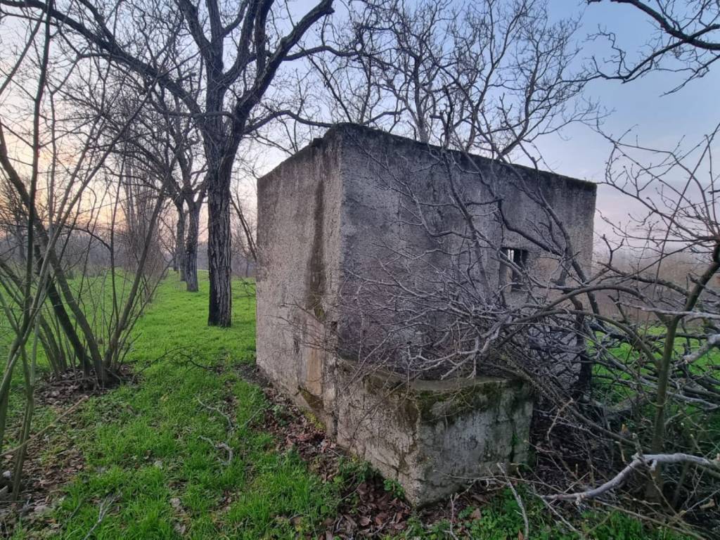 immagine annuncio 3 di 6