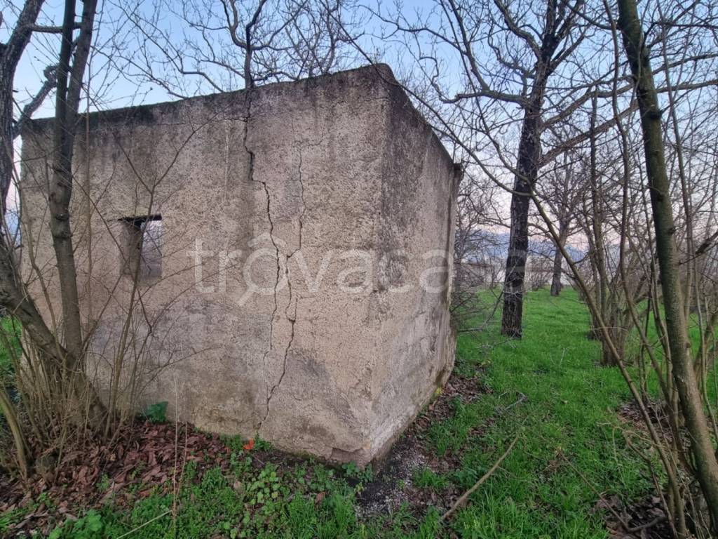 immagine annuncio 4 di 6