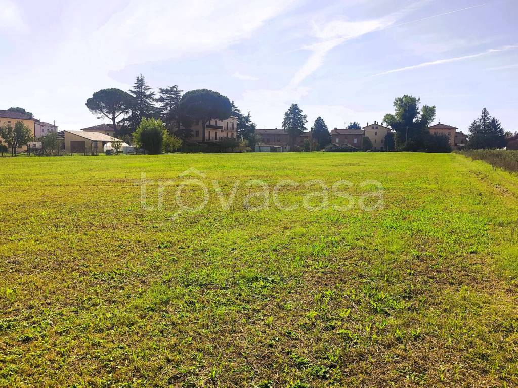 immagine annuncio 4 di 6