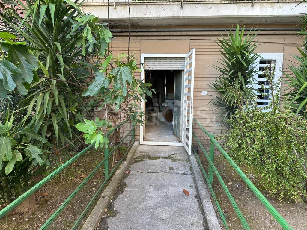 immagine annuncio 5 di 7
