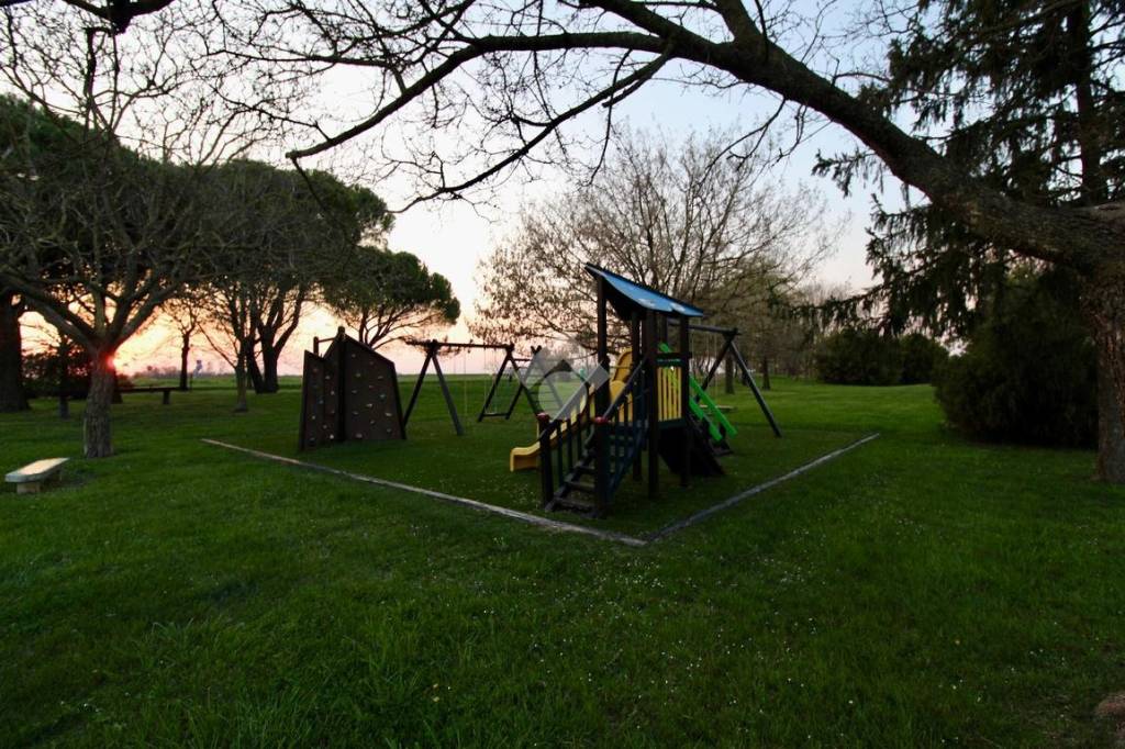 immagine annuncio 2 di 14