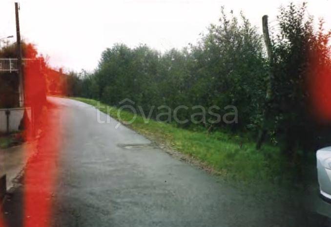 immagine annuncio 4 di 9