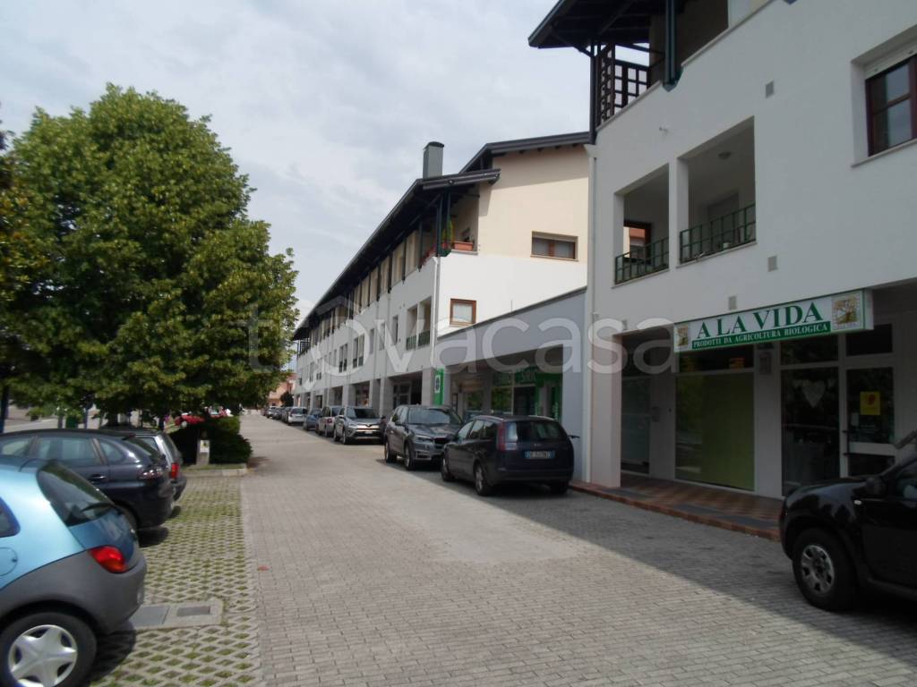 immagine annuncio 12 di 13