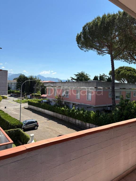 immagine annuncio 9 di 14