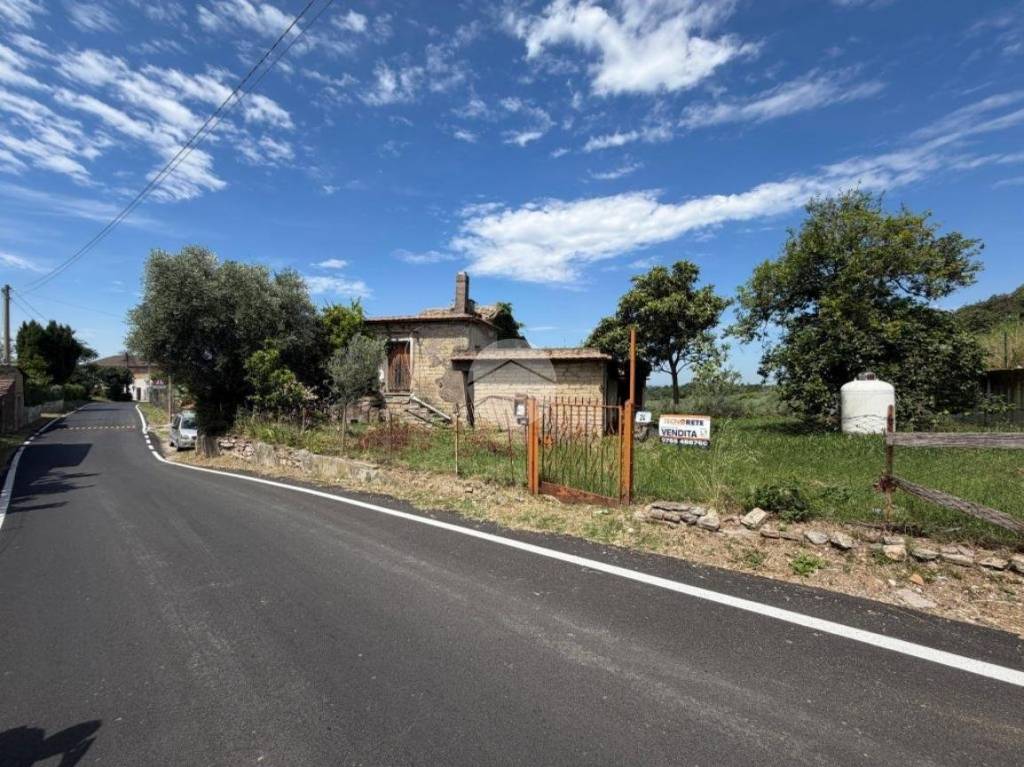 immagine annuncio 11 di 13