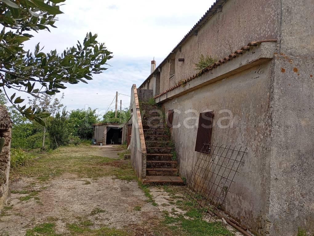 immagine annuncio 2 di 12