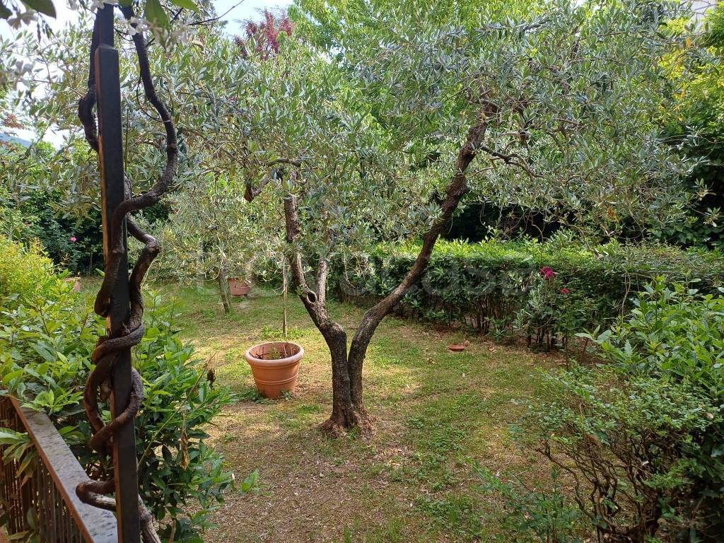 immagine annuncio 4 di 8
