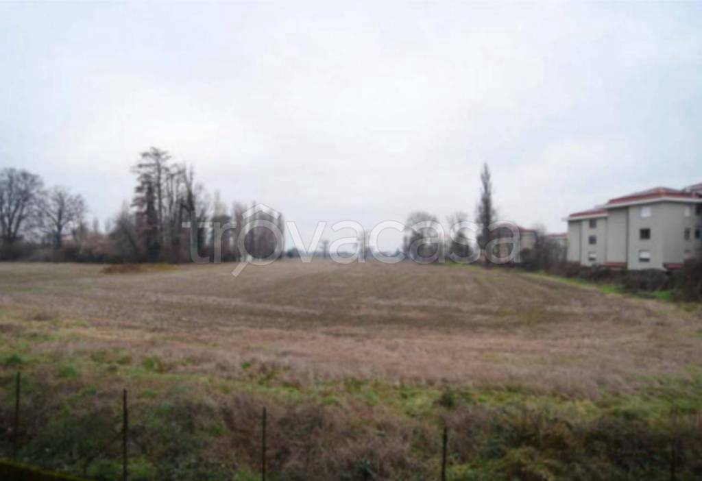 immagine annuncio 6 di 11