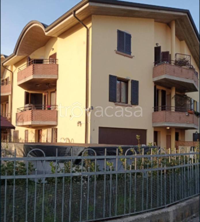 immagine annuncio 9 di 14
